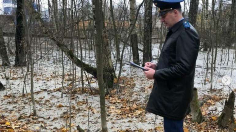 На Росії цілий ліс залили відходами бетонного виробництва