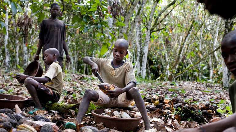 Висока ціна шоколаду — наслідок експлуатації дитячої праці