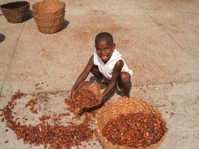 Висока ціна шоколаду — наслідок експлуатації дитячої праці_4