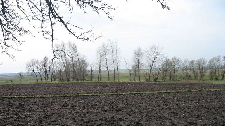 Сільгоспугіддя вже переходять у власність ОТГ, — очільник Держгеокадастру