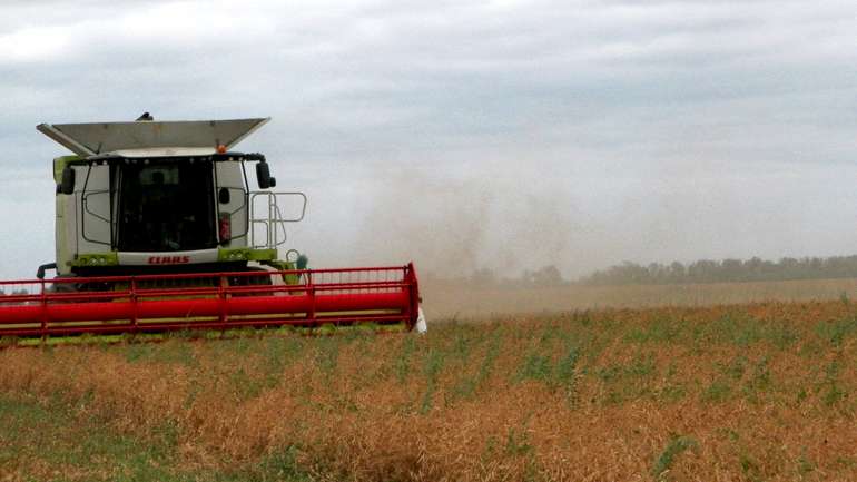 В уряді України підбили підсумки цьогорічних жнив: зібрано понад 60 млн т зерна