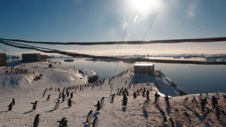 Українці в Антарктиді святкують Новий рік у розпал літа