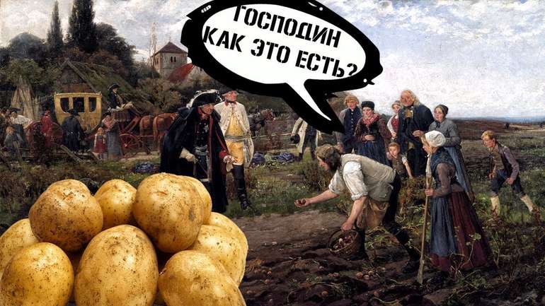 Росіян будуть штрафувати за продаж “неправильної” картоплі
