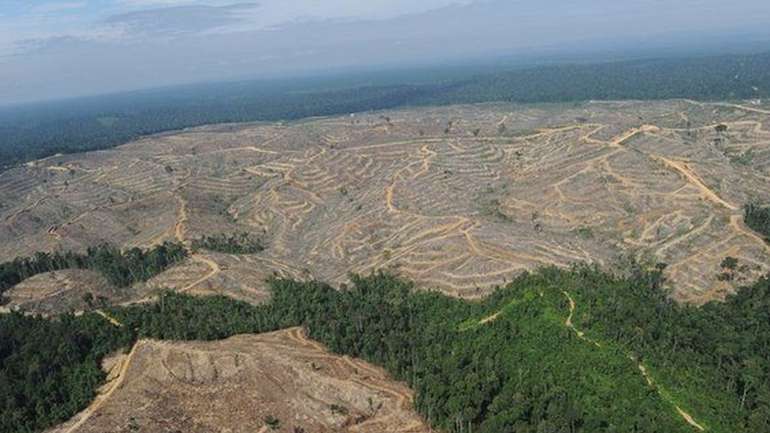 Банда Путіна перетворює Сибір в пустелю (відео, що вражає)