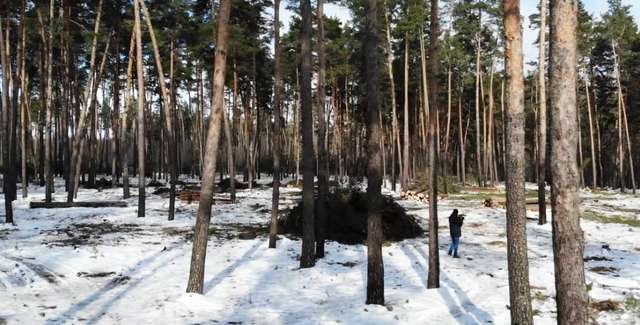 Селяни Миргородського району вимагають покарати «лісову мафію»_3