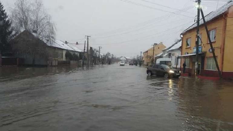 Закарпаття знову тоне, бо «слуга» Петров не зупинив вирубку лісів