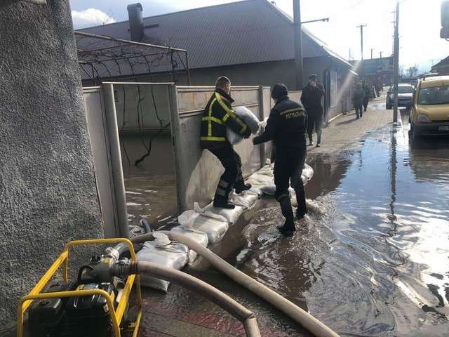 Закарпаття знову тоне, бо «слуга» Петров не зупинив вирубку лісів_1