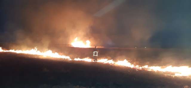 На Полтавщині за день вигоріло 14 га території_1