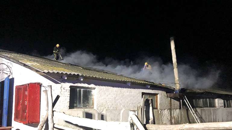 Дві сотні корів врятували у пожежі на Полтавщині