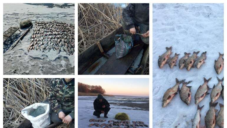 На Полтавщині браконьєри наловили риби на 36 тисяч гривень