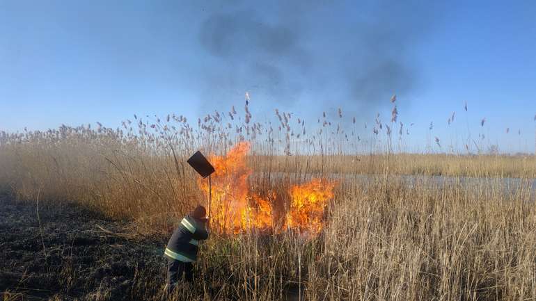 На Полтавщині щодня горять великі території - 8 пожеж за добу