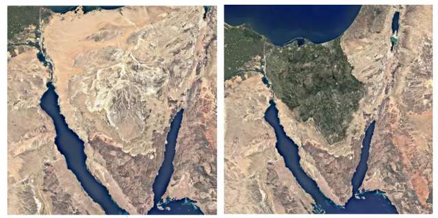 Китайсько-єгипетський план з озеленення Синайського півострова