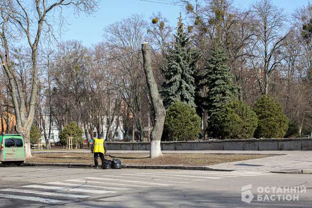 Радикальна обрізка дерев у Полтаві