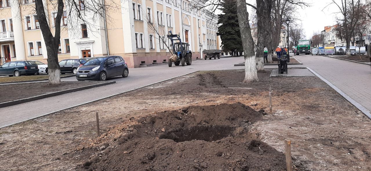 Поблизу театру ім.М.В. Гоголя в Полтаві саджають липи