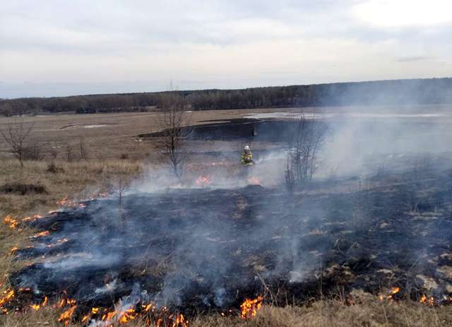 Поліція Полтавщини не спіймала жодного палія трави_1