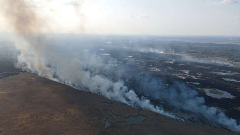 110 гектарів територій згоріли на Полтавщині за добу
