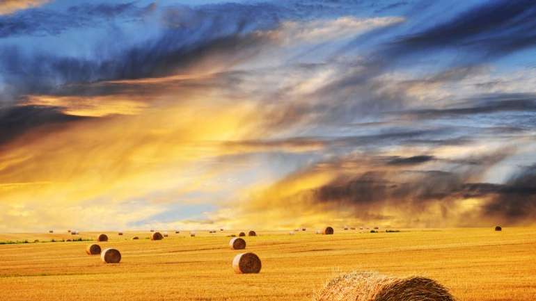 Українці – скоро ви не зможете потрапити на відібрані у вас землі.