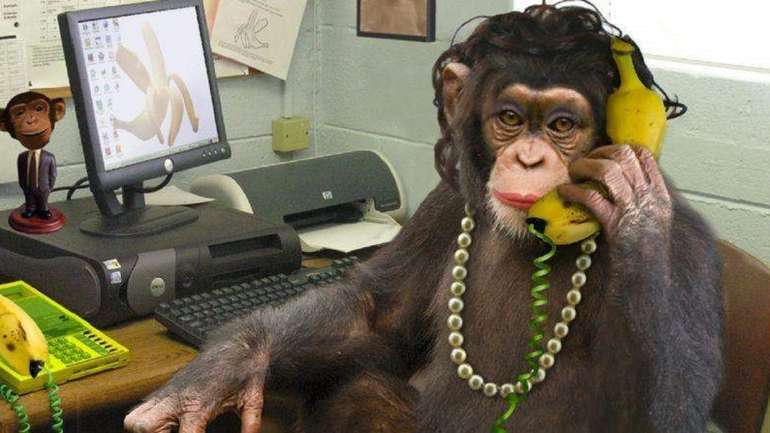 Мавпи набирають «Гамлета»