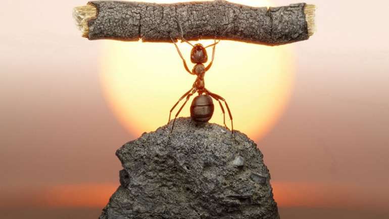 Ледар - це трудовий та генетичний резерв суспільства