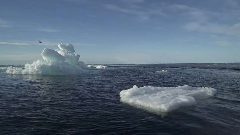Температура в Арктиці піднялася до рекордних показників