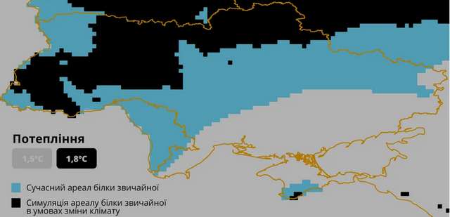В Україні дикі білки опинилися під загрозою зникнення_4