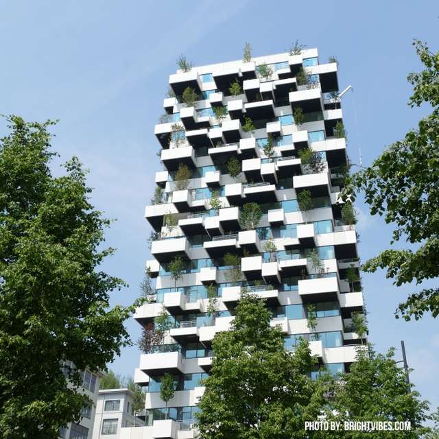 Унікальний вертикальний ліс створили в Нідерландах_14