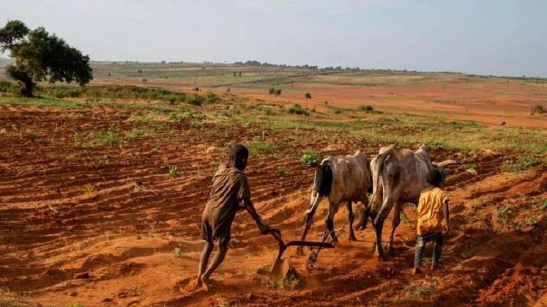 Майже півмільйона мешканців Мадаґаскару страждають від голоду
