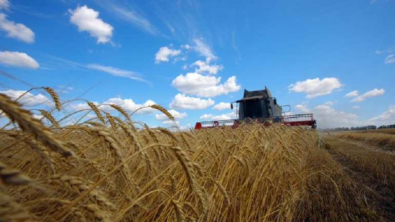 На Півдні України розпочалися жнива