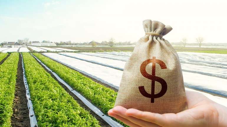 На Полтавщині 1 гектар сільгоспугідь коштує понад 30 тисяч гривень