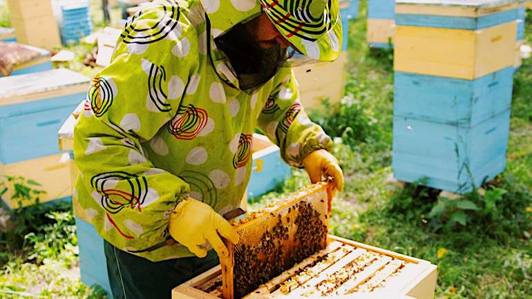 Пасічникам і бджолярам Машівської ОТГ пообіцяли дотації