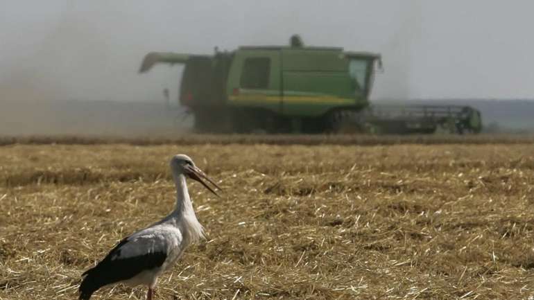 Обсяги виробництва української сільгосппродукції скоротилися, — Держстат