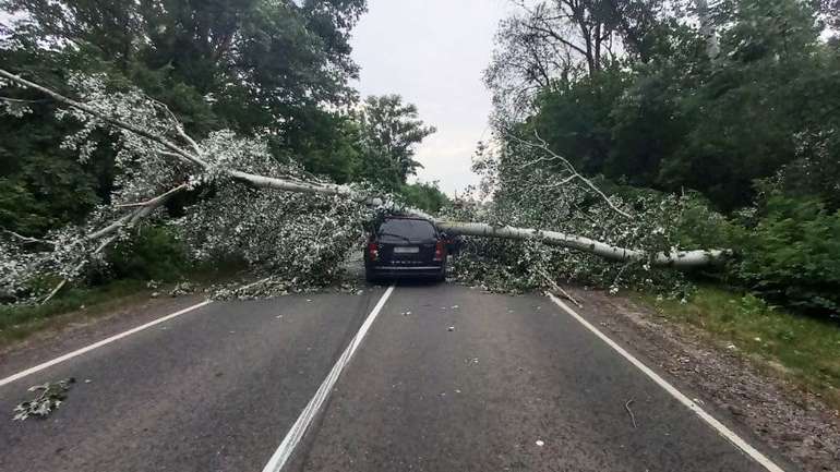 У Миргородському районі буревій завдав шкоди автотранспорту