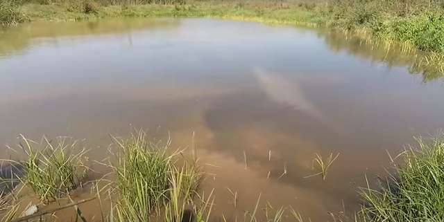 У Полтавській області спиртзавод отруює довкілля_1