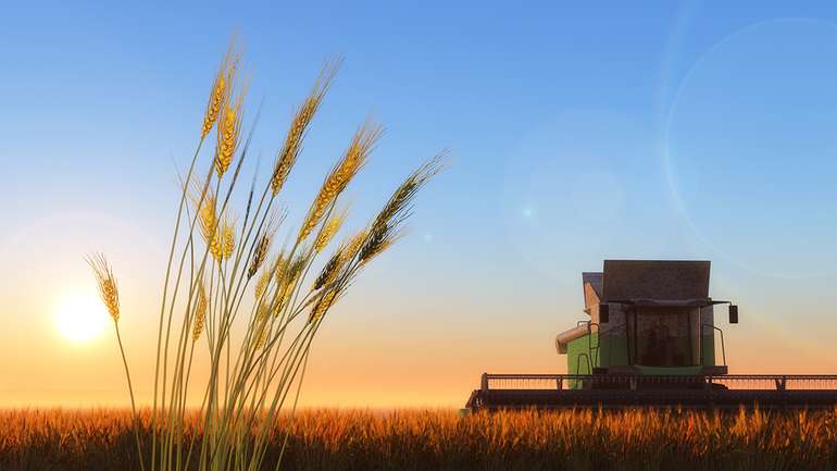 УКАБ: найдорожча земля в Україні – на Київщині