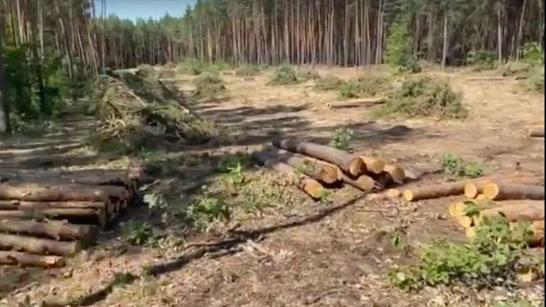 Полтавщину перетворюють на нове Закарпаття