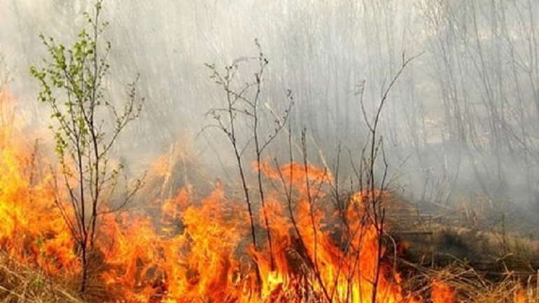 У Градизькій ОТГ селяни виявили палія трави