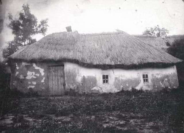 Історія “скрєп”: Перша спроба більшовиків організувати масовий штучний голод була на Кубані_3