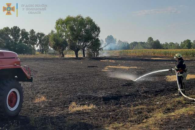 У День Незалежності вогнеборці Полтавщини загасили 13 пожеж_1