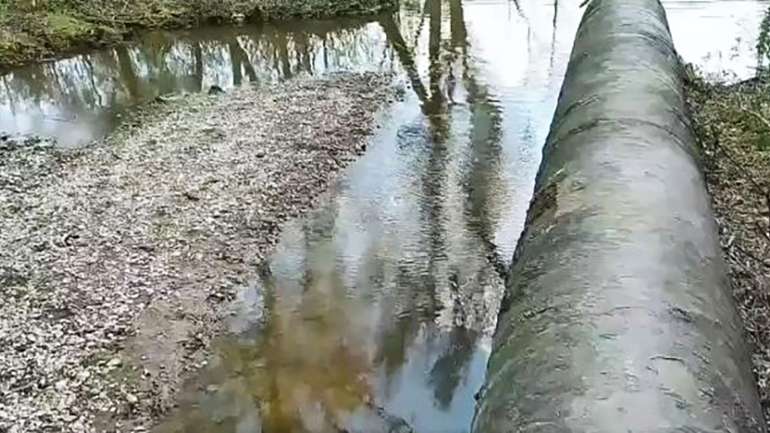 На Житомирщині знайшли винних у забрудненні річки Тетерів