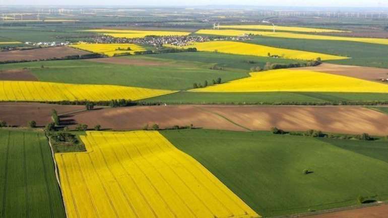 Викрито схему розкрадання 17 га особливо цінної землі