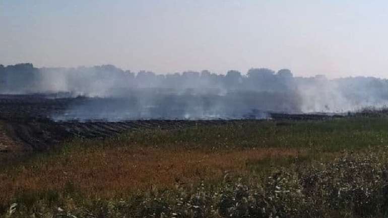 Неподалік Градизька на Полтавщині майже тиждень палають торфовища