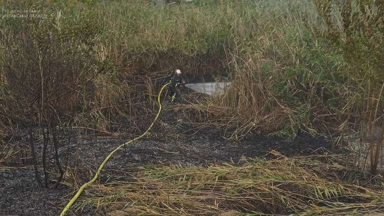 У прифронтовому Щасті на Луганщині вогнеборці загасили загоряння очерету