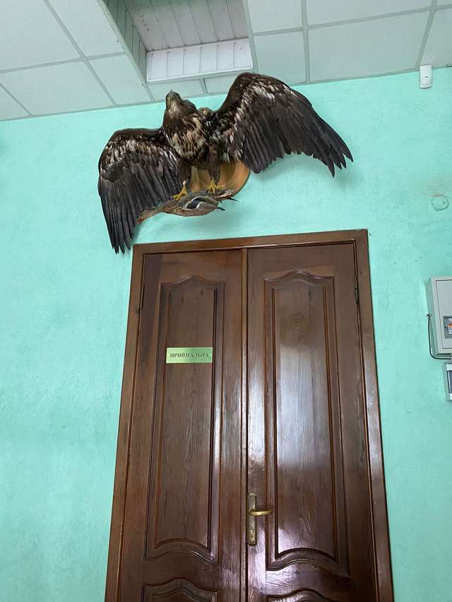 Журналісти Останнього Бастіону завітали на територію Кременчуцького лісництва ДП