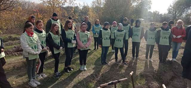Діти висадили молодий ліс у Миргородському районі_2