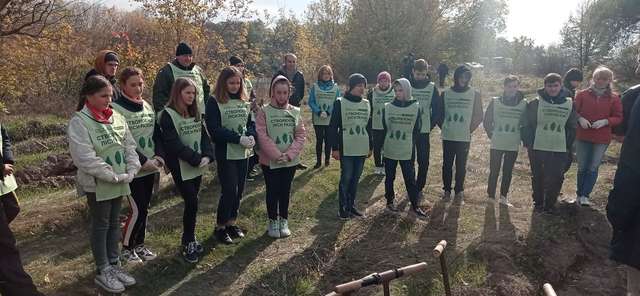 Діти висадили молодий ліс у Миргородському районі_1