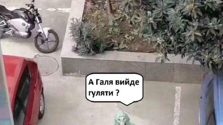 Вбити дракона? А якщо їх троє?