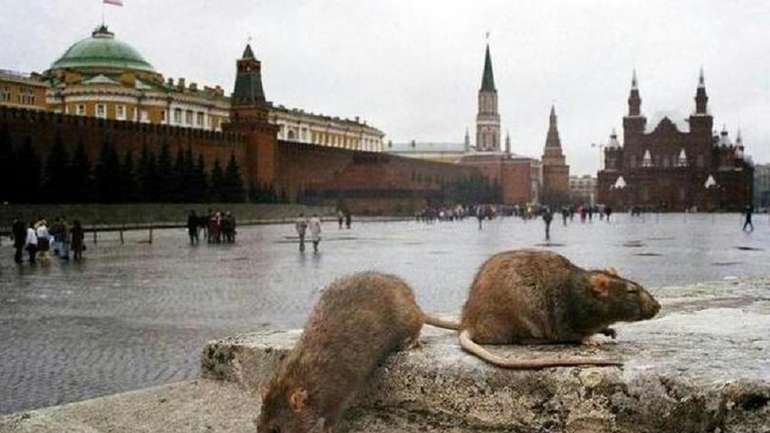 Найближче оточення «залізного щура» Путіна починає поїдати один одного