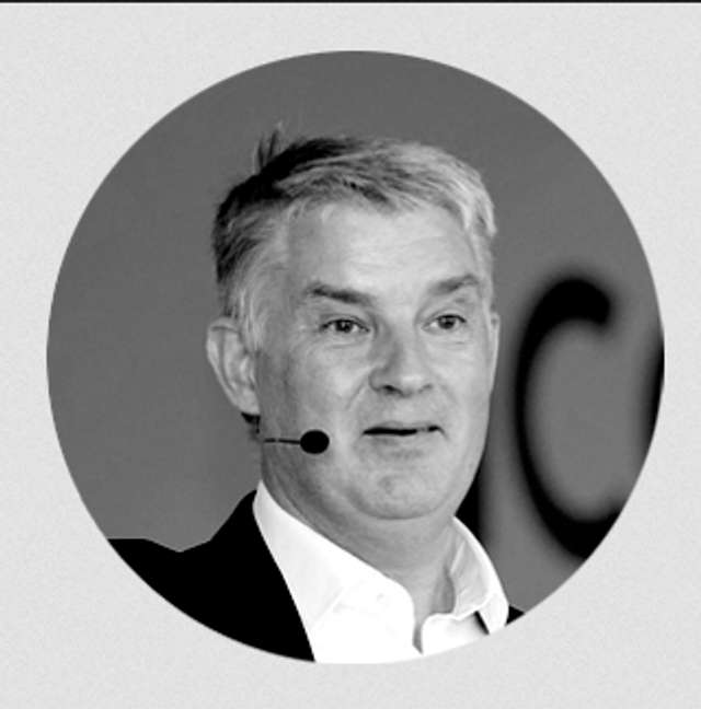 Эксперт по вопросам глобального лидерства, межкультурного лидерства, инноваций и предпринимательства, основатель и генеральный директор Gugin