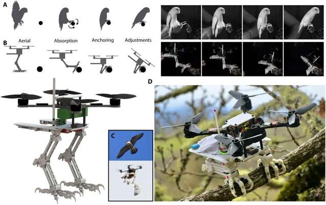 У США створили дрон  у вигляді пташиних ніг з кігтями_2