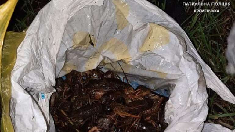 Незаконного ловця раків викрили у Кременчуцькому районі